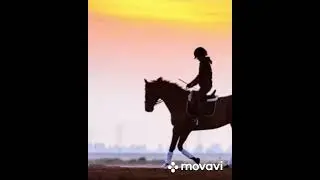 Гимн конному спорту          конный спорт.                     Лошади текст в комментариях