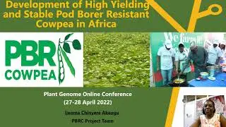 Ijeoma Akaogu, PBR Cowpea. Development of High Yielding and Stable Pod Borer Resistant Cowpea..
