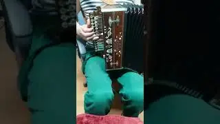Гармонь Фадеева.соль#  А.Чечёткин - Сормач