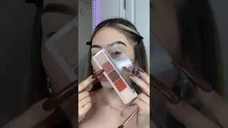 AITA FOR ASKING MY SISTER WHERE SHE KEEPS GETTING THE BABIES FROM? TIKTOK MAKEUP STORYTIME