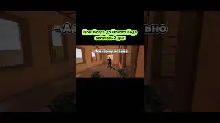 ПОВ: ДО НОВОГО ГОДА ОСТАЛОСЬ 2 ДНЯ! Кто понял?🤣 