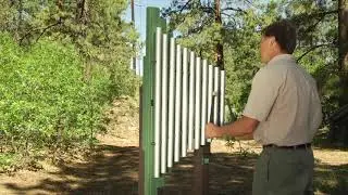 Griffin Weenotes   sound clip