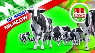 Green Screen Milkcow, Farm Animals 3D Animations - PixelBoomCG