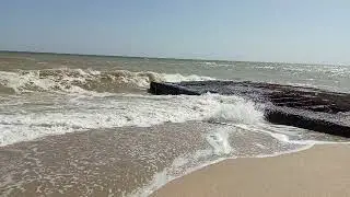 8 сентября 2024 г.