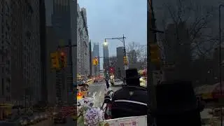 Carriage ride in NY Central Park