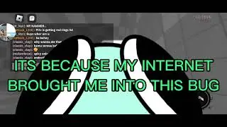 Found a bug in Sonic.Exe: Disaster