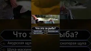 Кто хочет стать рыбаком. Часть 5