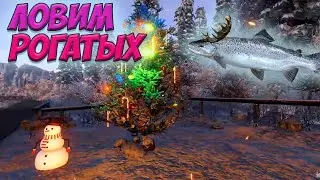 Fishing planet PS4 # Рождественская рыба/ Рогатый лосось