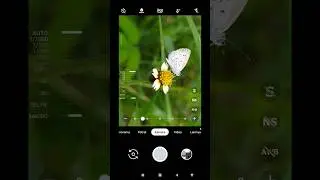 Gcam joker rajanya foto macro