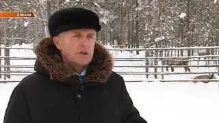 Работа с КМНС. Планы на 2019.