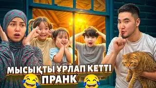 THE CAT WAS STOLEN 😱 PRANK 😂