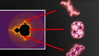 Fractal project (Thomas Robert & Sasha Khouzam)