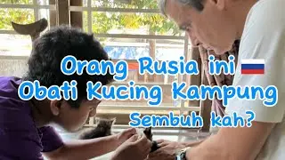 Menolong Anak Kucing Kampung ke Dokter Hewan