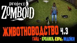 Project Zomboid Animal Husbandry Guide Part 3: Rabbits / Chickens / Turkeys