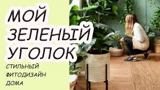 Зеленый уголок дома. Прием фитодизайна. Как разместить много растений в одном месте красиво?