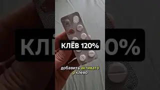 Лучшая прикормка для ловли в сентябре!! #рыбалка
