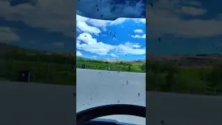 Как выйти из кабины и не превратится в муху🤣😆