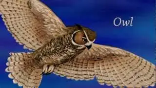 Night Animals for Kids | Zoo animals for preschool and kindergarten