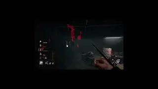 Pig 4k. Her addons are cheat codes 🤣.   