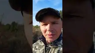 ‪@SiberianSolntsepek‬