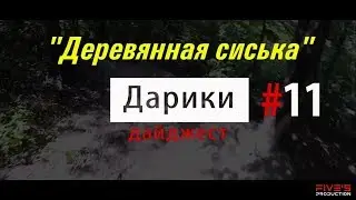 Дарики дайджест №11 Деревянная сиська