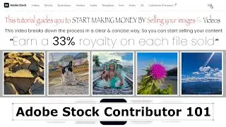 Adobe Stock Contributor 101: Best place to sell images, videos, & earn 33% royalties