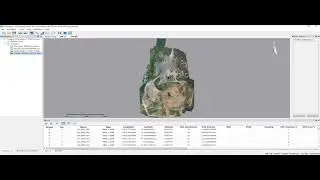 LiMapper | Processing Photogrammetry Data Tutorial