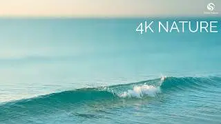 🌊 Sea Waves for Sleep & Meditation | Peaceful Nature 4K Video | #seawaves #meditation  #relexation