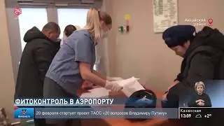 Проверка багажа в аэропорту Платов
