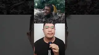 HOW TO SURVIVE QUICKSAND! 