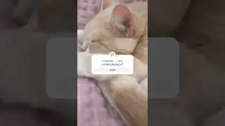 почему.......?