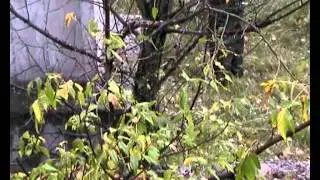 2007 битва за флаг
