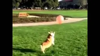 Super balloon player