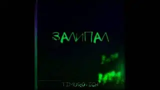 ЗАЛИПАЛ-TIMUROVICH