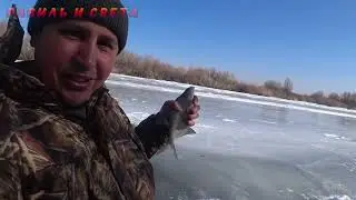 Казахстан 🇰🇿  //ОТ ТАКОГО УЛОВА В ШОКЕ!// Жизнь в деревне //  