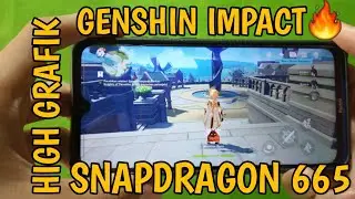 Genshin Impact Gameplay Snapdragon 665 Redmi Note 8