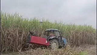 sugarcane harvester