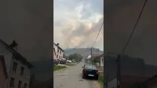 Incendiu pădure la Cîlnic