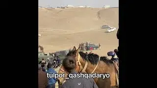 Купкари.Четкир Билан Тортишув.Узбекский Настоящий. O'zbek chavandozlari.