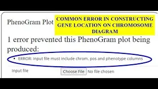 Input file must include chrom, pos and phenotype columns 