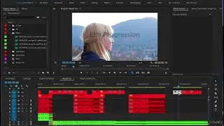 Adobe Premiere Pro CC Complete A Video Editing Project 19