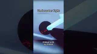 Underwater Fight - Dojo Shorts