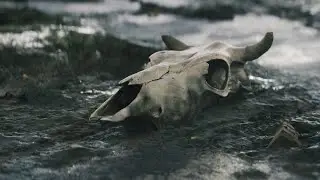 The Course Teaser - Photoreal 3D with Blender, Reality Capture and Meshroom