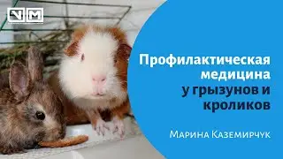 Профилактическая медицина у грызунов и кроликов