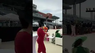 World Cup ( Horse Races in Dubai ) Meydan 2024 awards UAE wealthy life sport horses championship