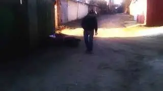 Dio Валит Дио Прет!!