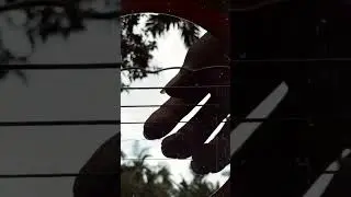 Say you want let go (fingerstyle guitar cover.