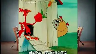 funny memes cartoon video