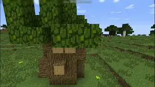 Olmosli daraxt DanUZB - Minecraft