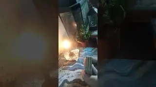 Вы сегодня🧐